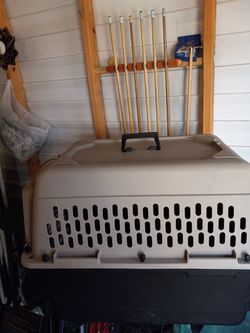 Medium Dog House