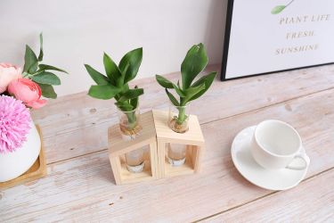 Glass Propagation Glass Test Tube Plant Terrarium for Hydroponic Plants