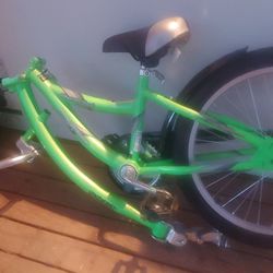 Green Weeride co pilot