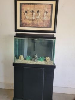 Fish Tank Aquarium 40 Gallons With Stand,  Pump, and Lights