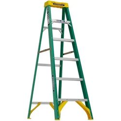 Warner 6 FT ladder 