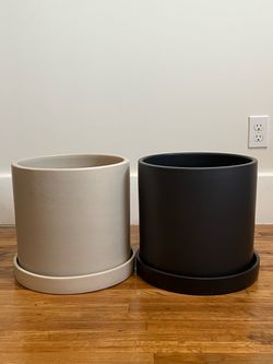 The Sill Large Planters