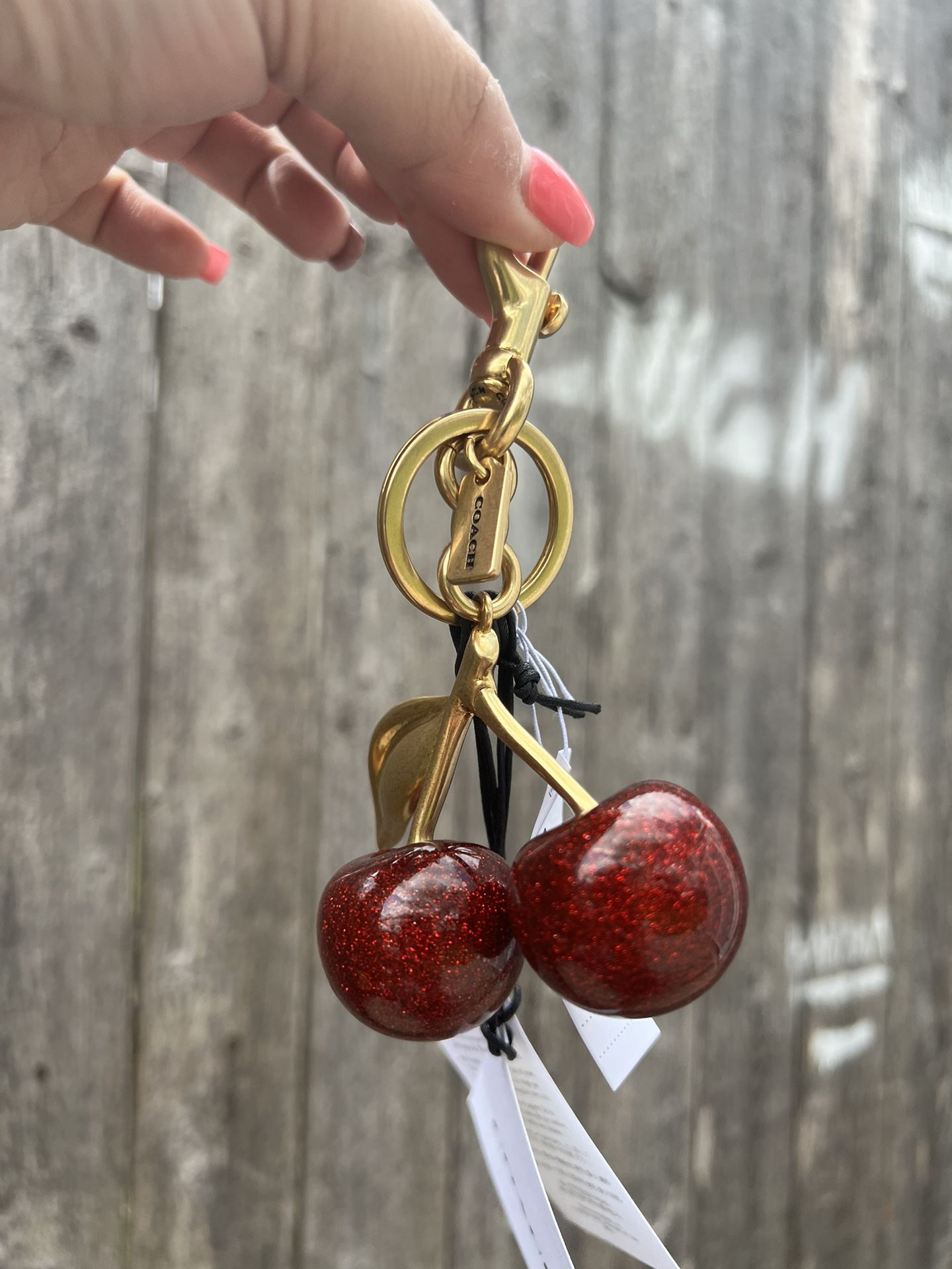 Coach Monogram Print Dog Keychain And Bag Charm for Sale in Burbank, CA -  OfferUp