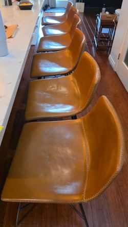 Poly amd Bark Paxton Counter Stool