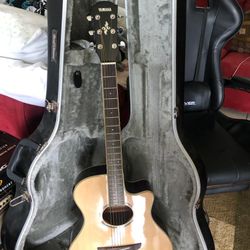 Electric Acoustic Guitar 