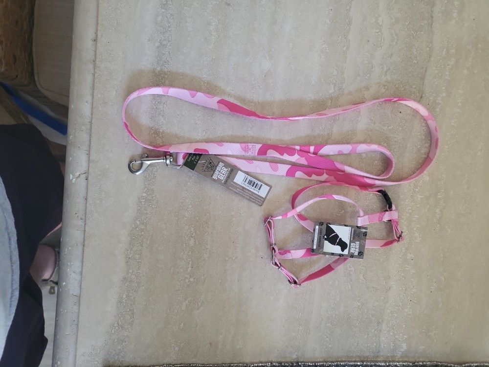 Dog Leach And Harness
