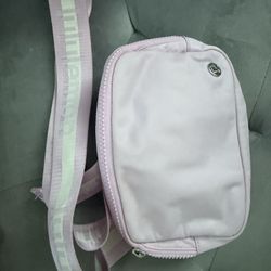 Everywhere Belt Bag 