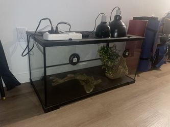 Glass Reptile Tank + More
