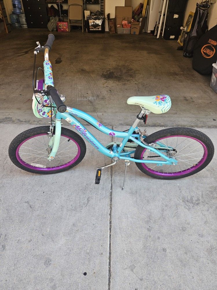 Schwinn Deelite 20 Inch Bike