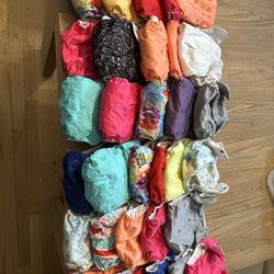 Cloth Diaper Lot (BumGenius)