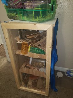 Handmade Hamster Enclosure