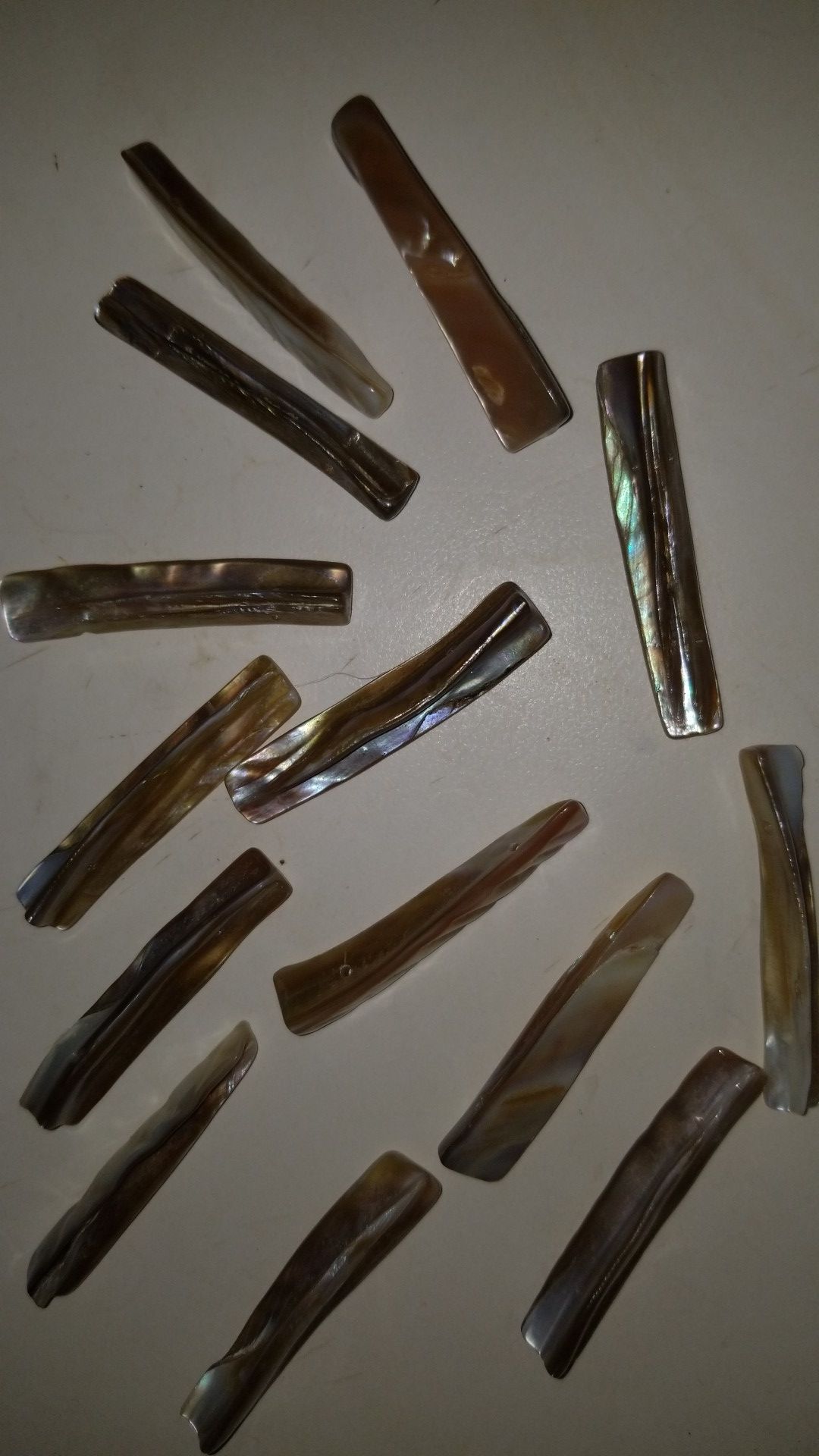 Pretty shell beads
