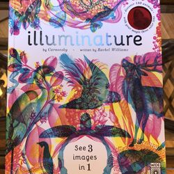 3-D Illuminature Book