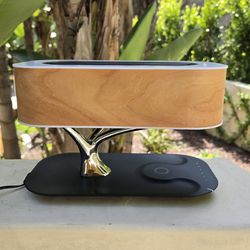 Bluetooth Lamp with Speaker