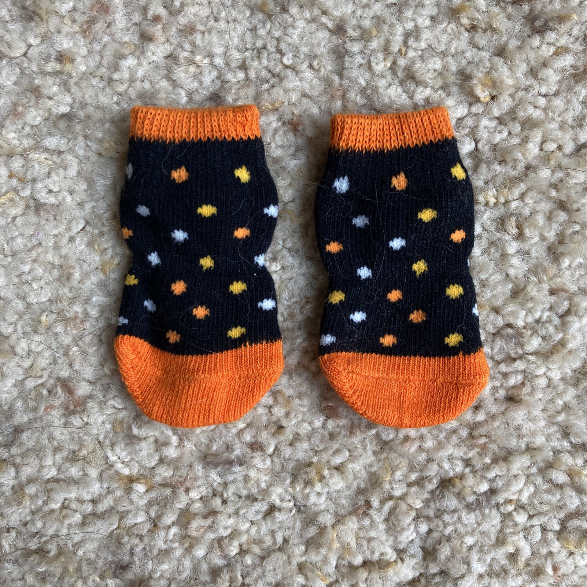 Cat/small dog Halloween socks