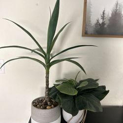 Artificial Plants - Boho Home Decor 