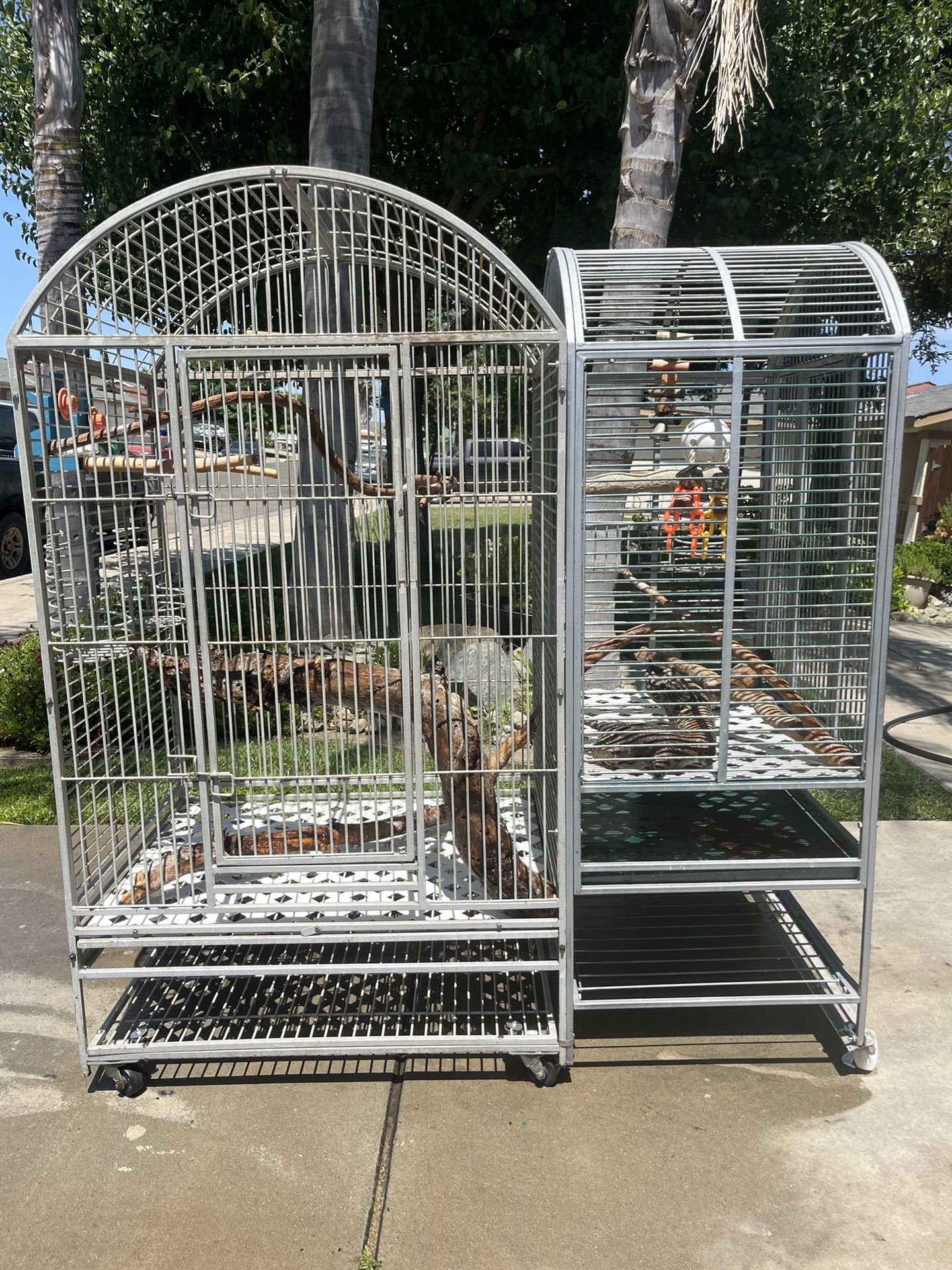 Bird Cage