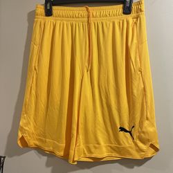 Puma Shorts