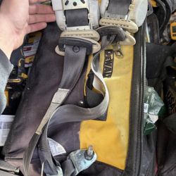 G37 Coupe Rear Seatbelts 