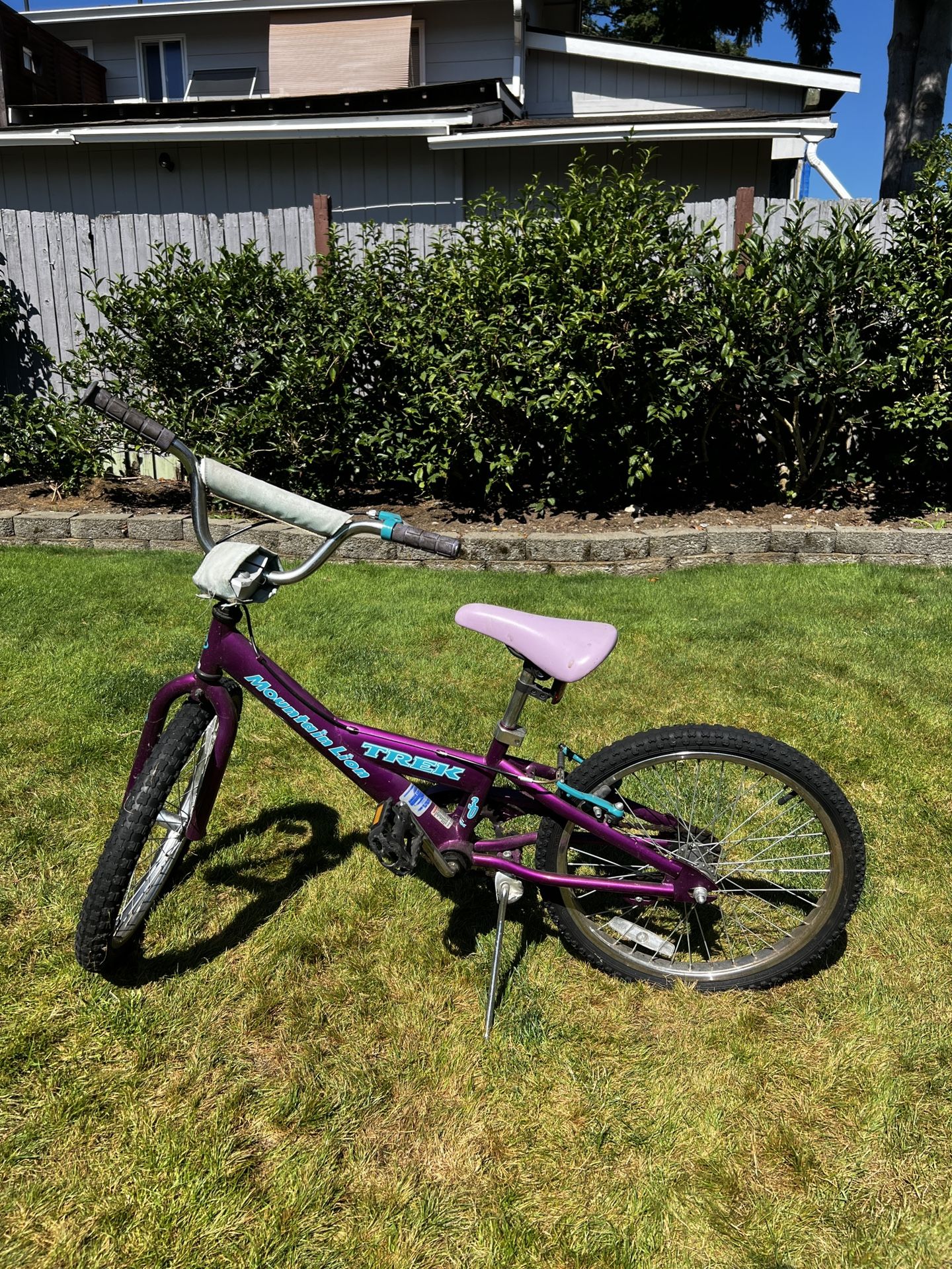 trek mountain lion 20 inch bicycle Precaliber Boy's Single Speed Viper Red FelixBike Trek Kids Bike 20 In
