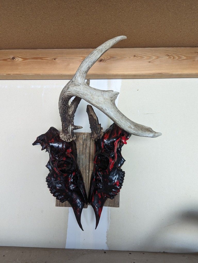 Face To Face Hydro Dipped Buck