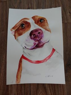 Watercolor painting, pitbull