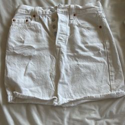 Levi Skirt 25