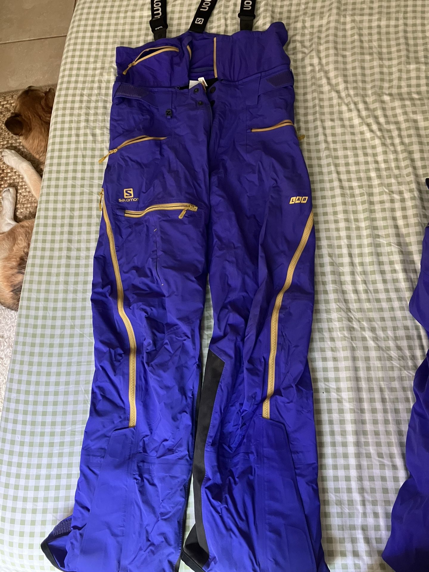 Salomon Ski Pants GORE-TEX (size M)
