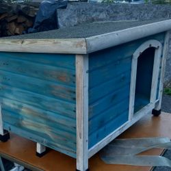 Dog House 