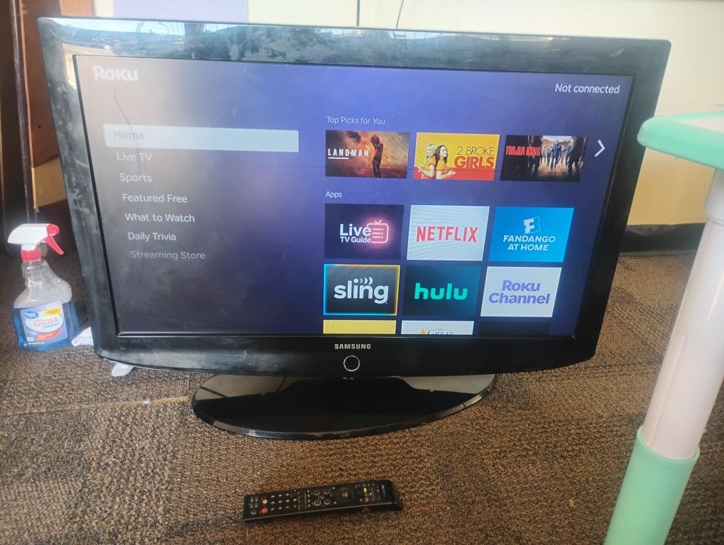 TV and Roku Device