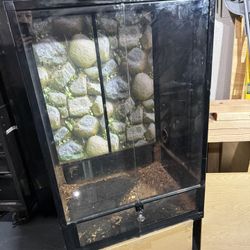 Reptile Terraium
