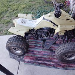 Was A Tao Tao Cheetah(Now It Just IS)