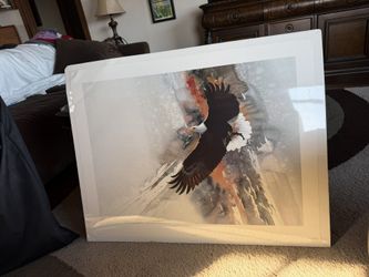 Bald Eagle Print