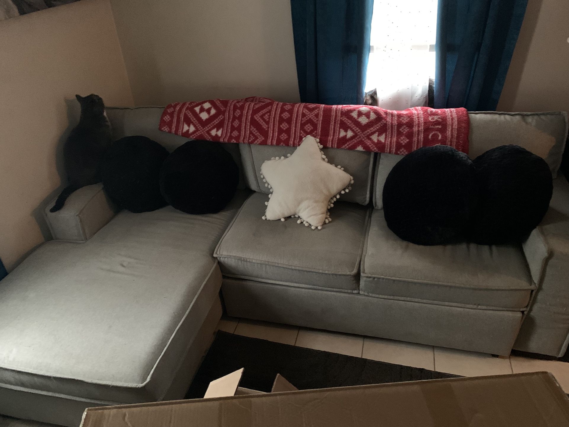 Couch/sectional