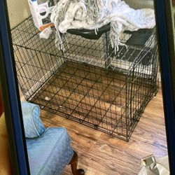 Large Dog Kennel