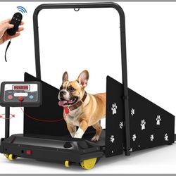 Dog Treadmill