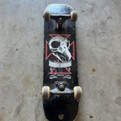 Tony Hawk Birdhouse Skateboard 