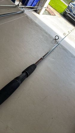 Ugly Stik