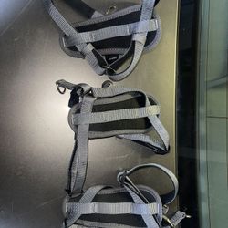 Small Dog Harness 