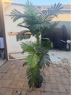 Fake decor plant $35