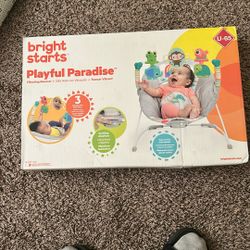 Baby Bouncer (brand new)