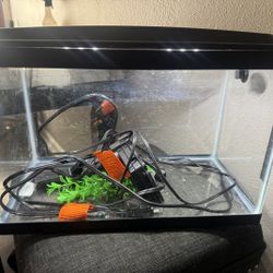 Fishing Tank