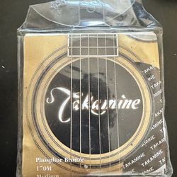 Guitar Strings- Takamine Phosphor Bronze 170M Medium
