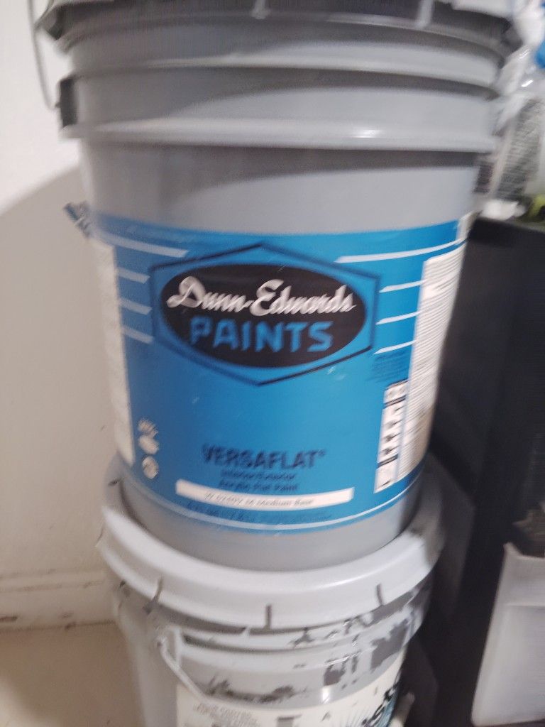 Dunn Edwards Paint White