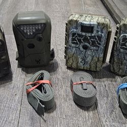 Deer Cameras