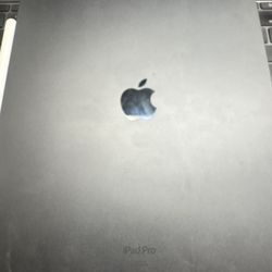 iPad Pro 13  (M4) - 256Gb
