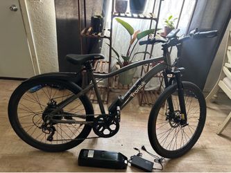 E bike