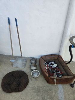 Free dog stuff
