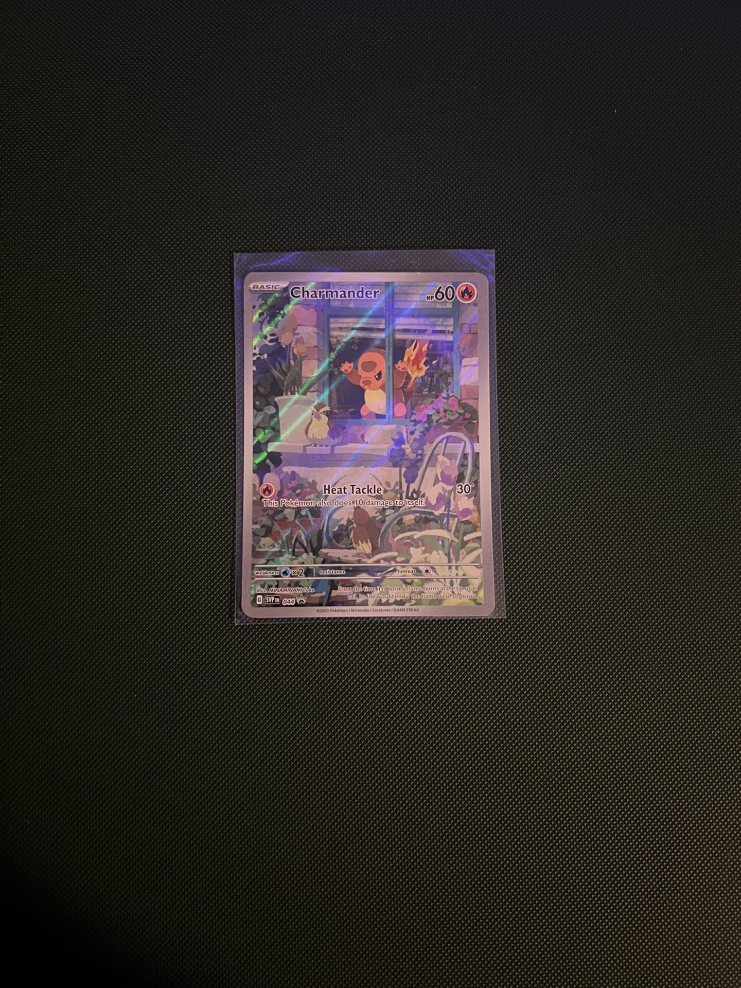 Pokemon ObF Charmander ETB Promo