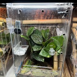 Herpcult Reptile Enclosure 